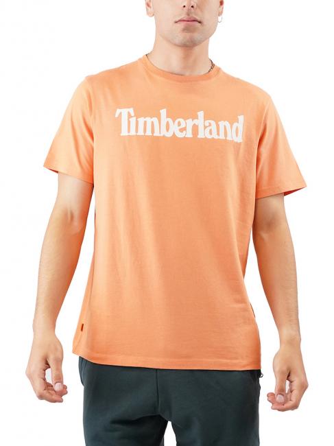 TIMBERLAND KENNEBEC LINEAR Cotton T-shirt copper tan - T-shirt