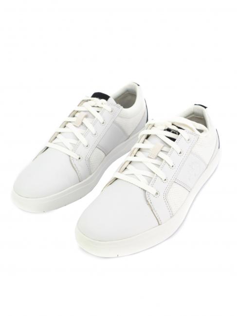 TIMBERLAND DAVIS SQUARE Sneakers white - Men’s shoes