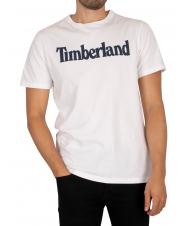 TIMBERLAND KENNEBEC LINEAR Cotton T-shirt white - T-shirt - 1