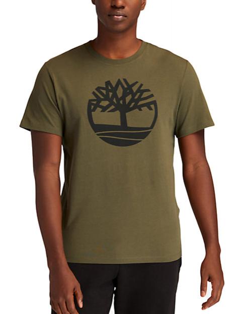 TIMBERLAND KBEC RIVER Short-sleeved T-shirt grapleaf - T-shirt