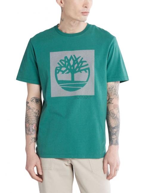 TIMBERLAND GRAPHIC T-shirt with Tree graphic posy green - T-shirt