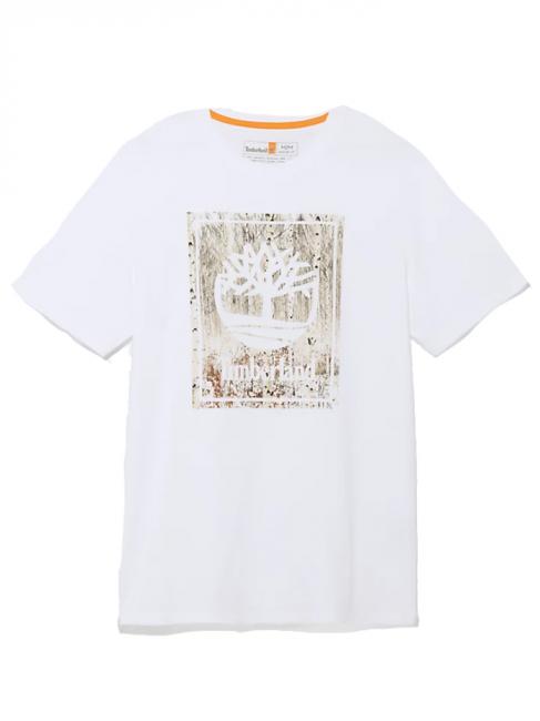 TIMBERLAND SES STACK T-shirt with Tree graphic white - T-shirt