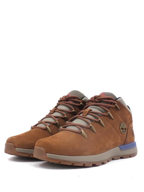 TIMBERLAND SPRINT TREKKER Hiking boots saddle - Men’s shoes