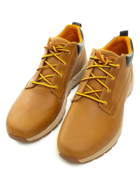 TIMBERLAND KILLINGTON LOW Leather sneakers wheat - Men’s shoes
