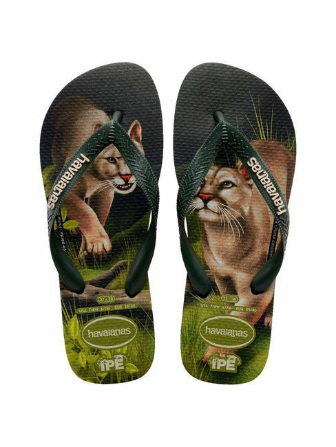 HAVAIANAS flip flops IPE olivegreen - Unisex shoes
