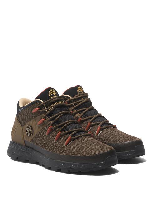 TIMBERLAND SPRINT TREKKER Sneakers milolive - Men’s shoes