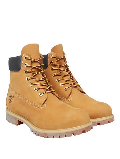 TIMBERLAND 6 INCH  Leather ankle boots yellow - Unisex shoes