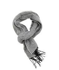 ALVIERO MARTINI PRIMA CLASSE 1C Scarf - Scarves