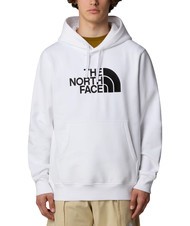 THE NORTH FACE DREW PEAK Hoodie - Sweatshirts