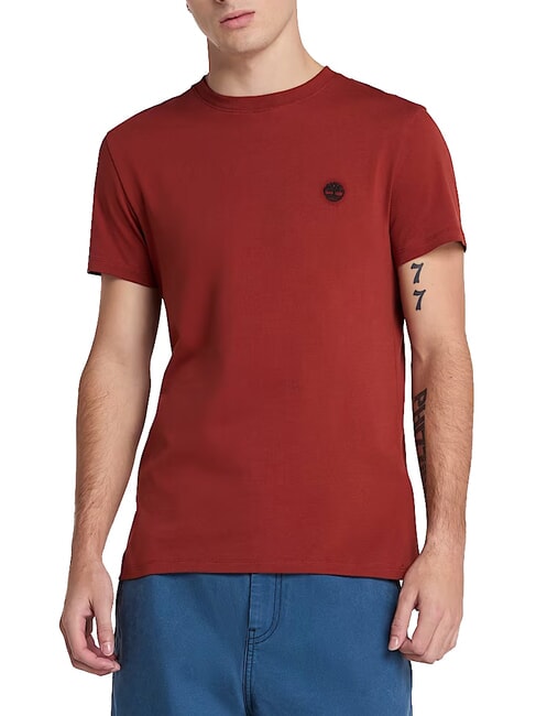 TIMBERLAND SS DUNRIVER CREW Cotton T-shirt burnt henna - T-shirt
