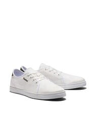 TIMBERLAND SHAPE PARK LOW  Sneakers - Men’s shoes