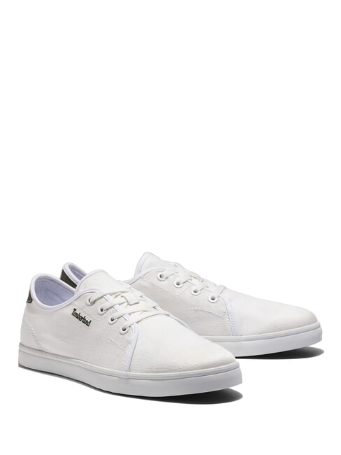 TIMBERLAND SHAPE PARK LOW  Sneakers blanc de blanc - Men’s shoes