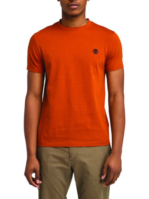 TIMBERLAND SS DUNRIVER CREW Cotton T-shirt umber - T-shirt
