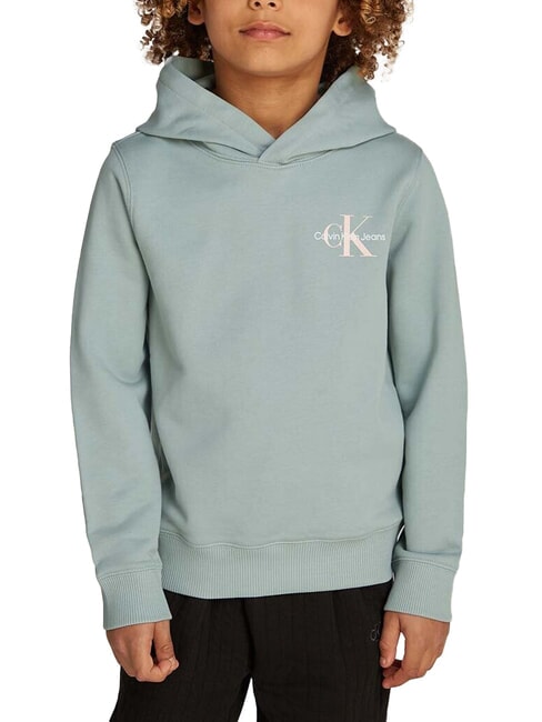 CALVIN KLEIN CK KIDS Logo print hoodie jadeite - Baby Sweatshirt
