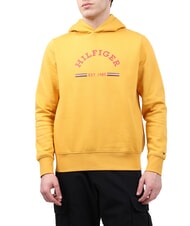 TOMMY HILFIGER TH 1985 Hoodie - Sweatshirts