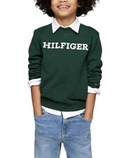 TOMMY HILFIGER TH KIDS Crew neck sweater - Children's Sweaters