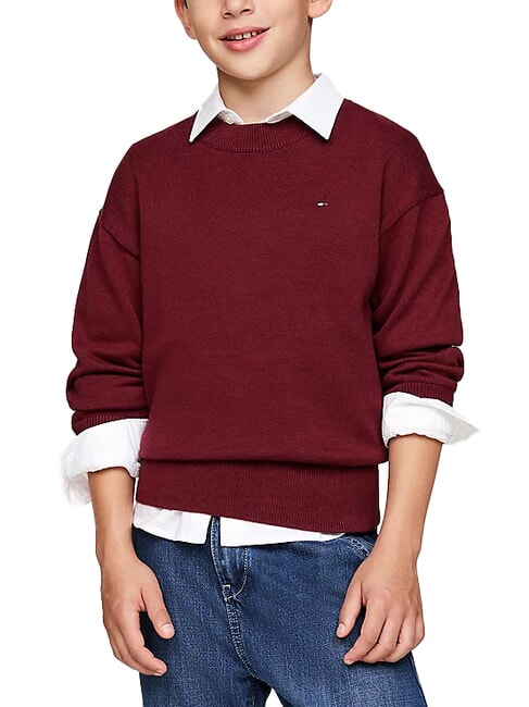 TOMMY HILFIGER TH KIDS Cotton crew neck sweater deep red - Children's Sweaters