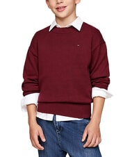 TOMMY HILFIGER TH KIDS Cotton crew neck sweater - Child T-shirt