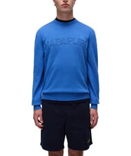 NAPAPIJRI D-AMBRA Cotton sweater - Men's Sweaters