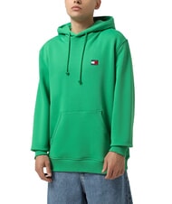 TOMMY HILFIGER TH JEANS Flag Patch Hoodie coastal green - Sweatshirts - 1