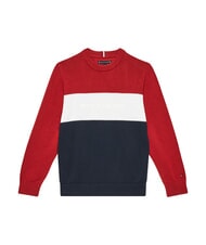 TOMMY HILFIGER TH Cotton crew neck sweater rwb colorblock - Child T-shirt - 1
