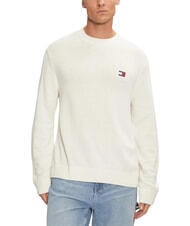 TOMMY HILFIGER TH JEANS  Crew neck sweater - Men's Sweaters