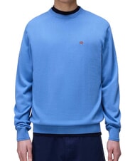 NAPAPIJRI DECATUR 2.0 C Crew neck sweater jasper - Men's Sweaters - 1