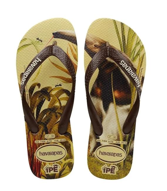 HAVAIANAS flip flops IPE SAND GRAY / DARK BROWN - Unisex shoes