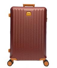 trolley grande economico