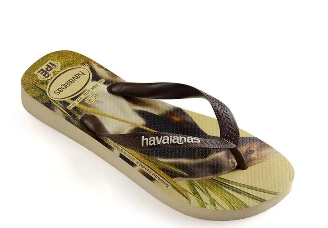 Havaianas Flip Flops Ipe Sand Gray / Dark Brown - Buy At Outlet Prices!