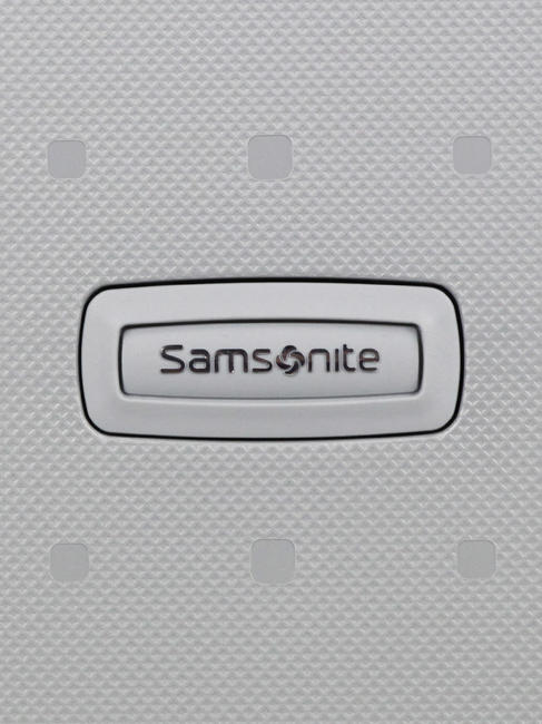 Trolley Line S'CURE SILVER - Hand luggage