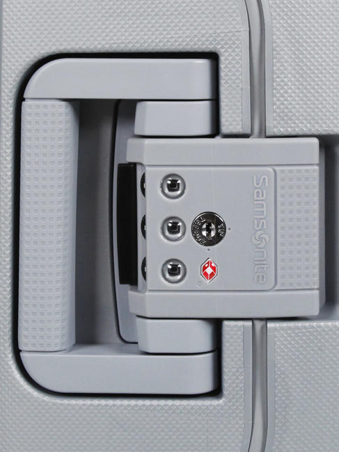 Trolley Line S'CURE SILVER - Hand luggage