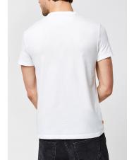 TIMBERLAND SS DUNRIVER CREW Cotton T-shirt white - T-shirt - 2