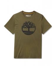 TIMBERLAND KBEC RIVER Short-sleeved T-shirt grapleaf - T-shirt - 5