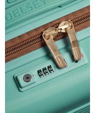 DELSEY FREESTYLE Hand luggage trolley almond - Hand luggage - 4