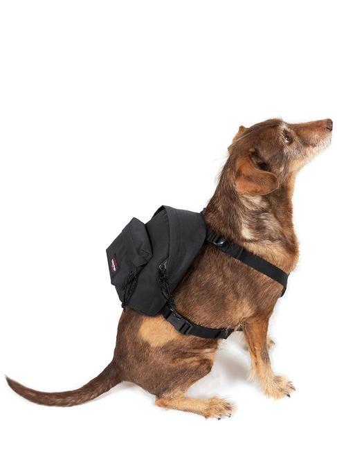 DOG PAK'R Mini backpack for dogs BLACK - Articles for animals