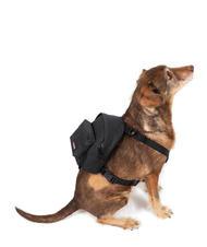 EASTPAK DOG PAK'R Mini backpack for dogs - Articles for animals