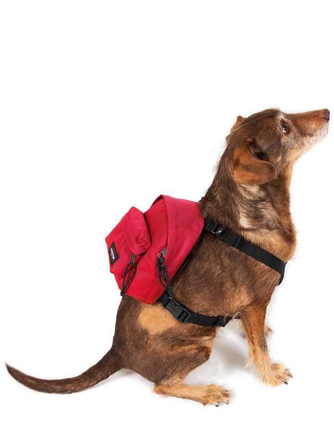 DOG PAK'R Mini backpack for dogs Sailor Red - Articles for animals