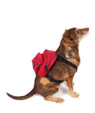 EASTPAK DOG PAK'R Mini backpack for dogs Sailor Red - Articles for animals - 2
