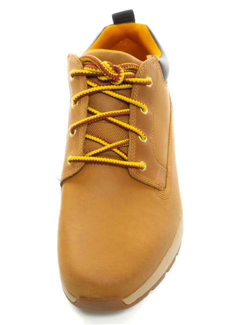 KILLINGTON LOW Leather sneakers wheat - Men&rsquo;s shoes