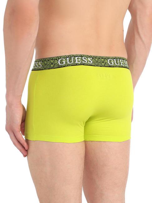 JOE TRUNK Set of 3 boxers guess palms - Men's briefs