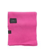 JOHN RICHMOND CLAUS Scarf fuchsia - Scarves - 2