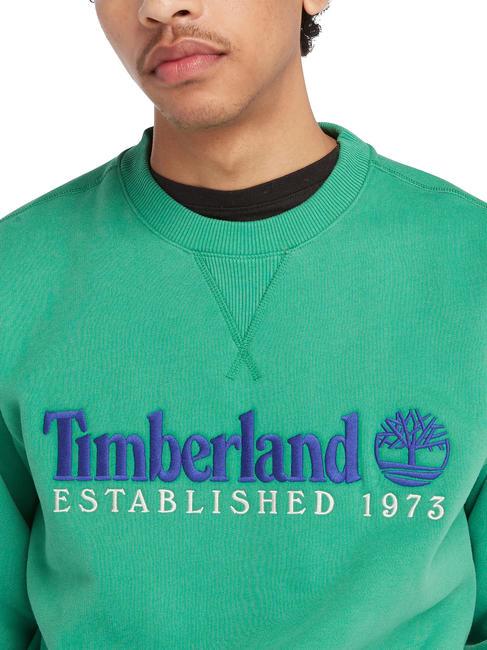 ESTABILISHED 1973 Crewneck sweatshirt celtic green wb - Sweatshirts