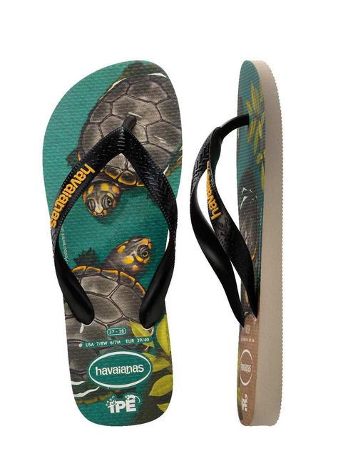 flip flops IPE beige/black/yellow - Unisex shoes