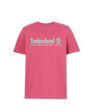 TIMBERLAND ESTABILISHED 1973 Cotton T-shirt lively wb - T-shirt - 4