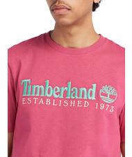 TIMBERLAND ESTABILISHED 1973 Cotton T-shirt lively wb - T-shirt - 3