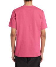 TIMBERLAND ESTABILISHED 1973 Cotton T-shirt lively wb - T-shirt - 2