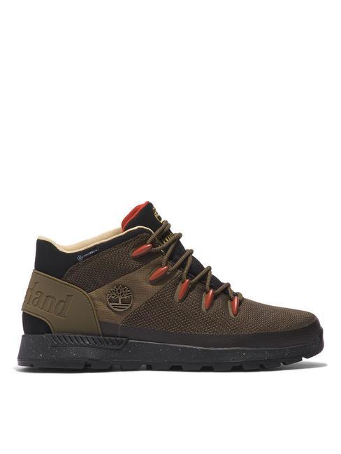 SPRINT TREKKER Sneakers milolive - Men’s shoes