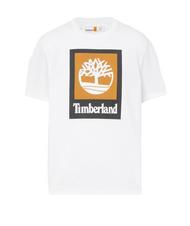 TIMBERLAND STACK LOGO Cotton T-shirt white - T-shirt - 3