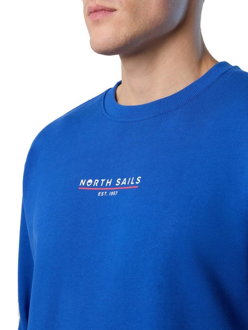 BASIC Cotton sweatshirt with logo lettering surf blue - Sweatshirts